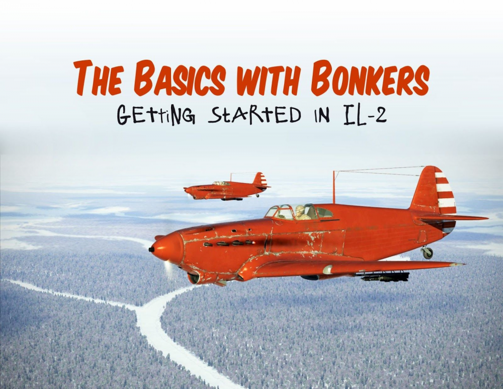 Horno siesta Agente The Basics with Bonkers - wiki edition - Airgoons