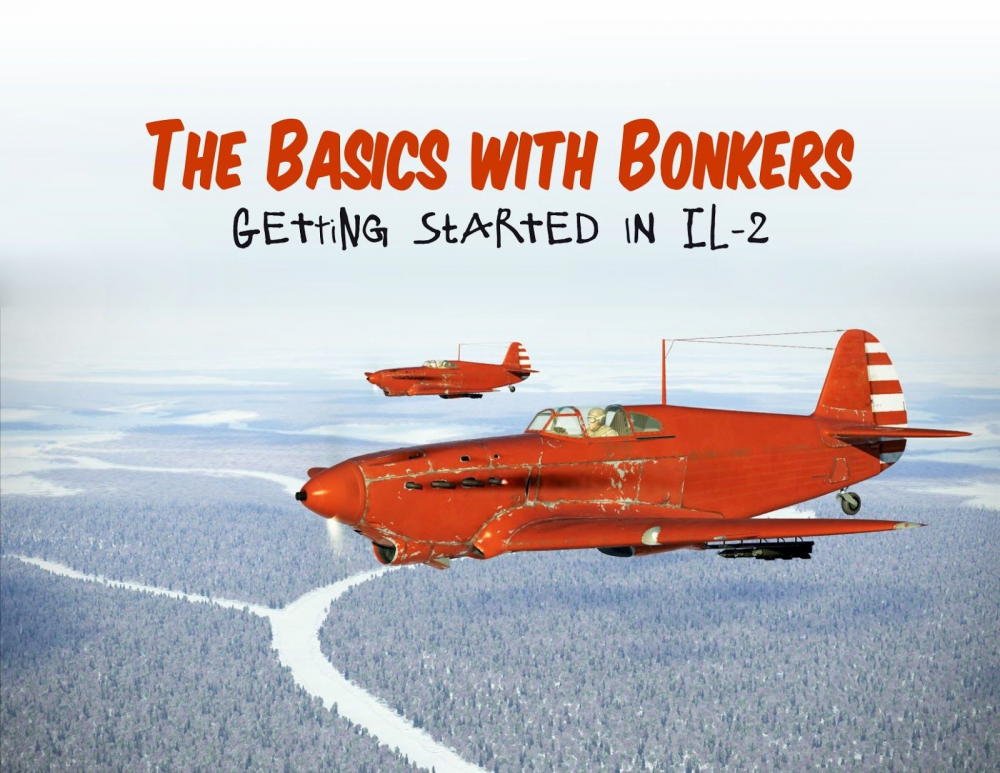 The Basics With Bonkers Wiki Edition Airgoons