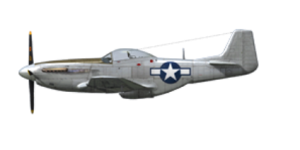 P51.png